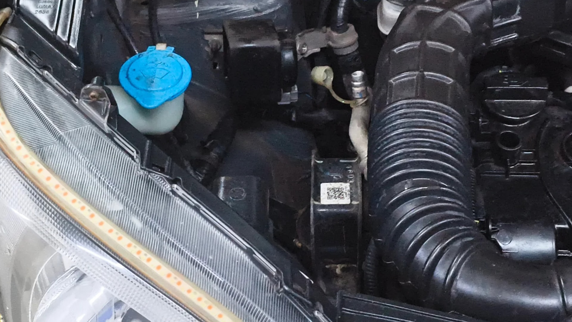 View 2021 Maruti Suzuki 1000 Base Variant Image 3 Used 2021 Maruti Suzuki 1000 Base Variant Image 3