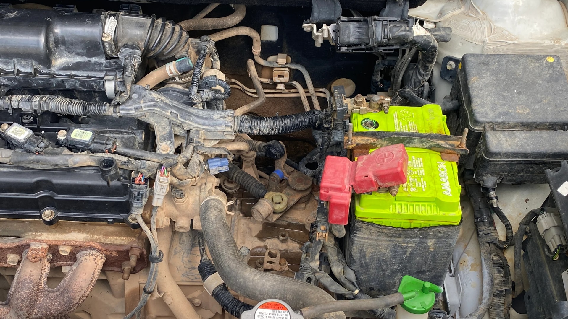 Used 2020 Maruti Suzuki 1000 Used 2020 Maruti Suzuki 1000