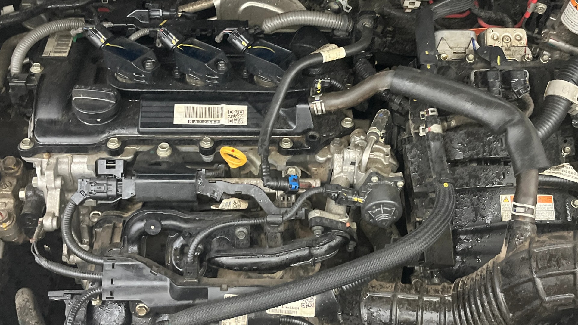 View 2023 Maruti Suzuki 1000 Base Variant Image 44 Used 2023 Maruti Suzuki 1000 Base Variant Image 44