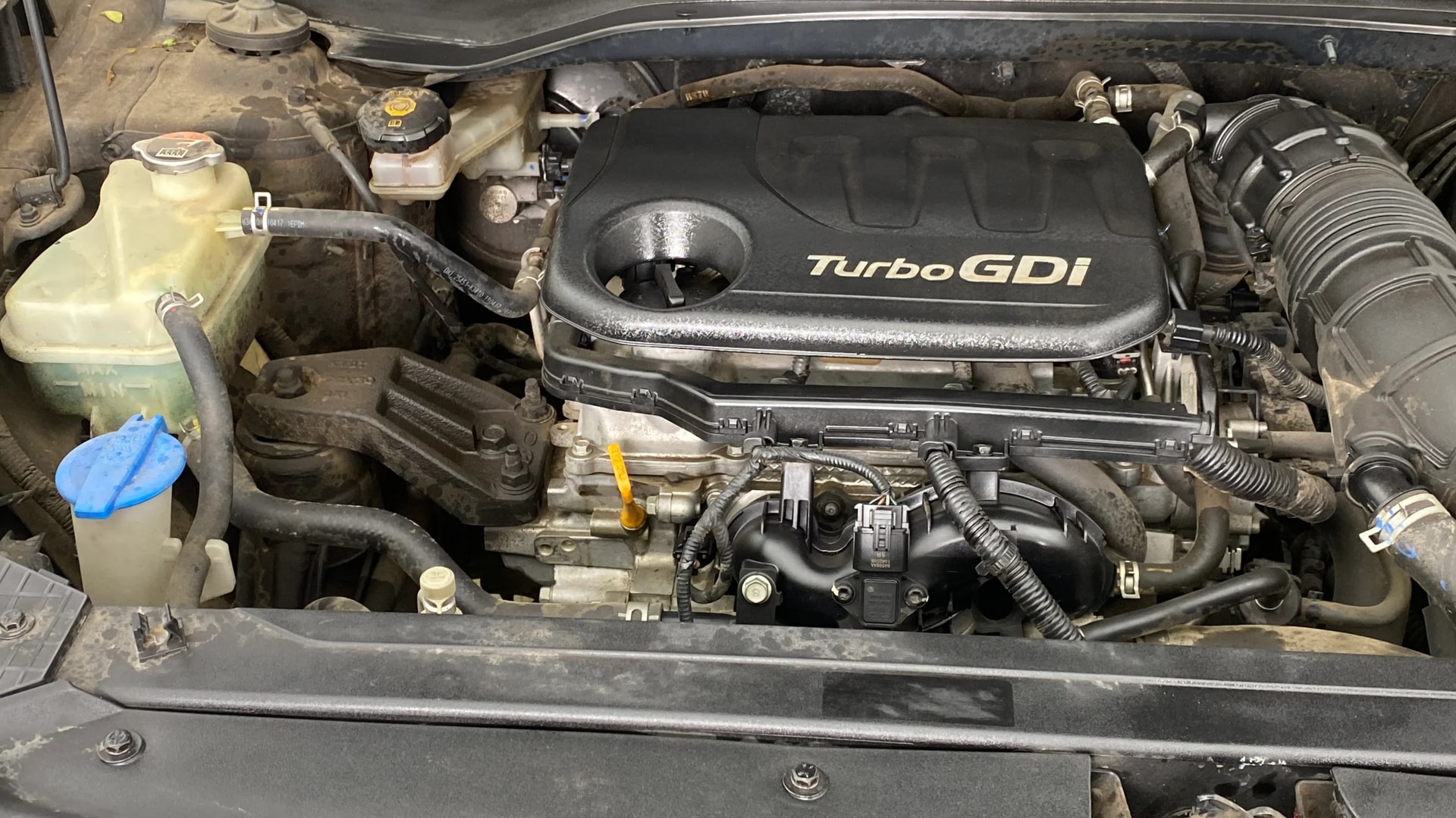 Used 2019 Hyundai Venue Used 2019 Hyundai Venue