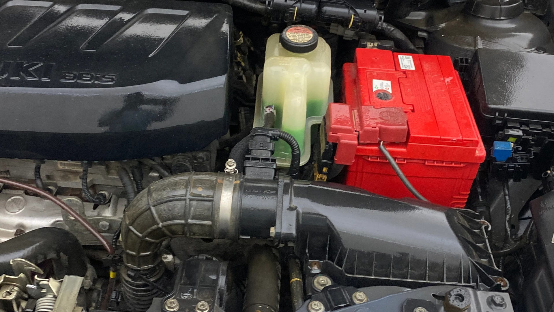 Used 2019 Maruti Suzuki 1000 Used 2019 Maruti Suzuki 1000