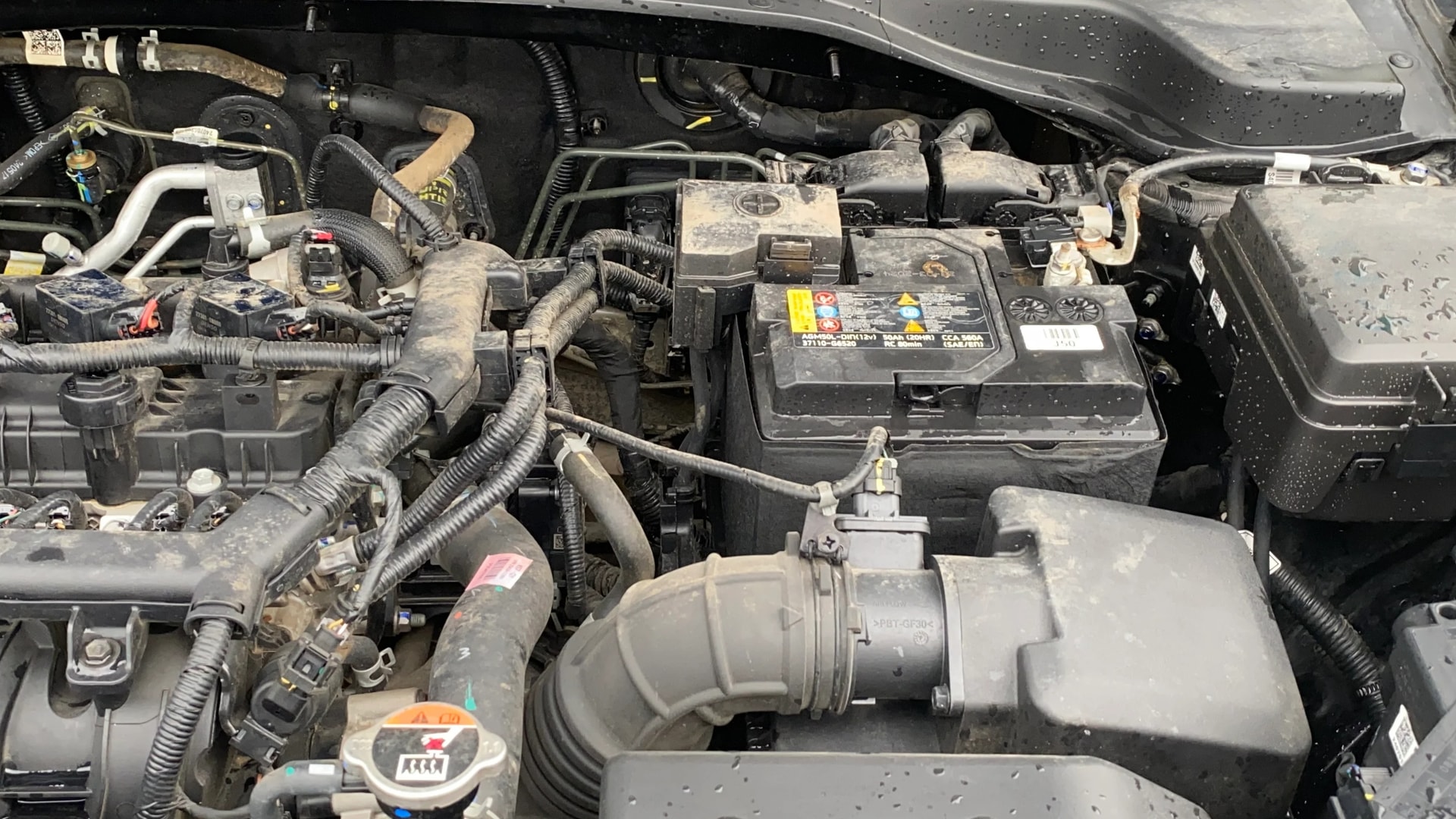 Used 2024 Kia Sonet Used 2024 Kia Sonet