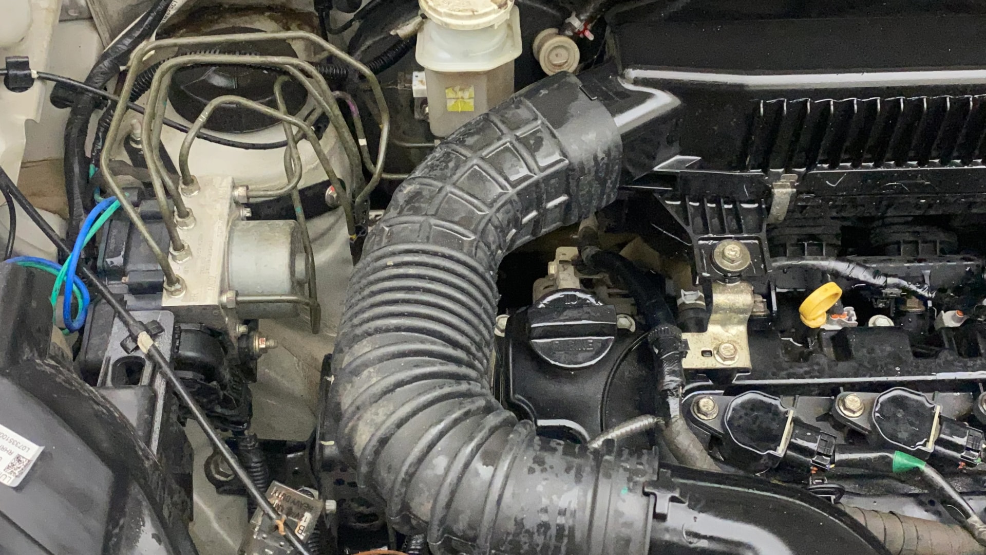 View 2021 Maruti Suzuki 1000 Base Variant Image 3 Used 2021 Maruti Suzuki 1000 Base Variant Image 3
