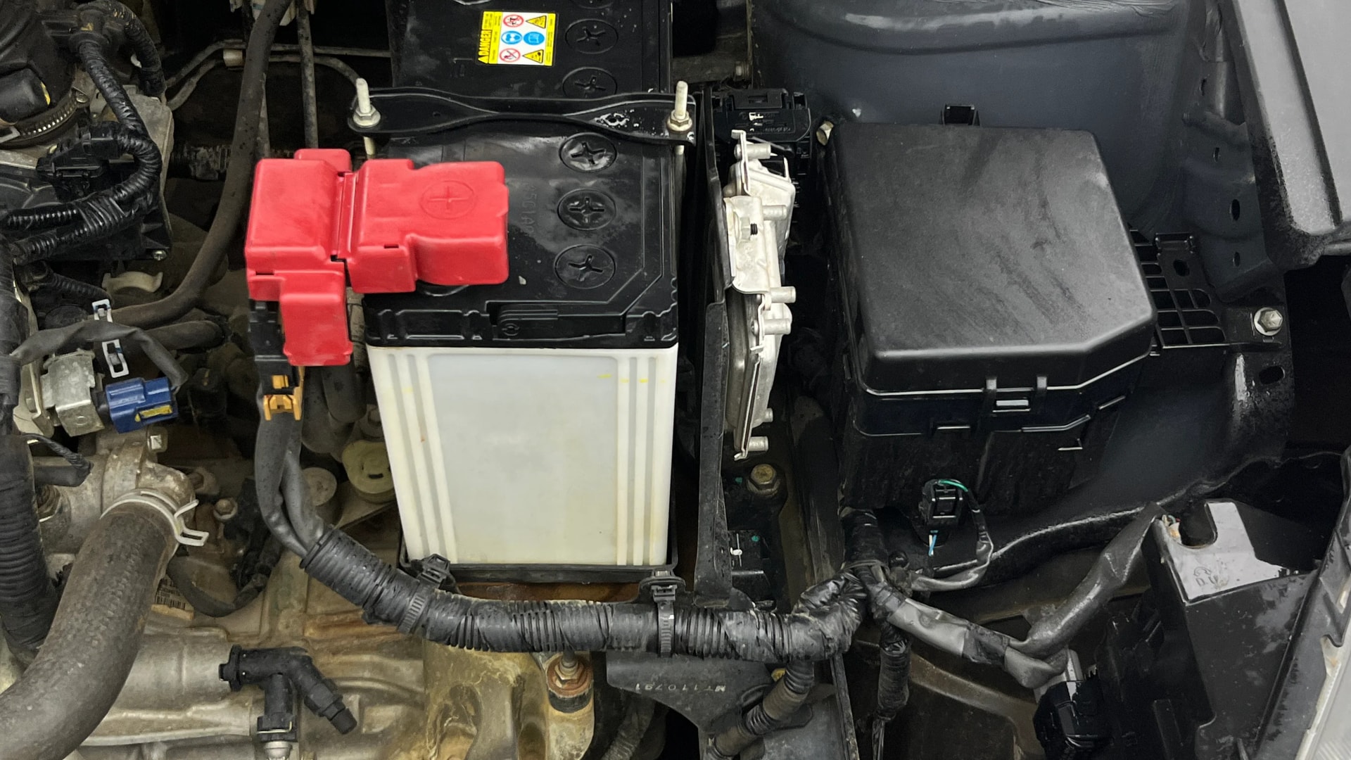Used 2019 Maruti Suzuki 1000 Used 2019 Maruti Suzuki 1000