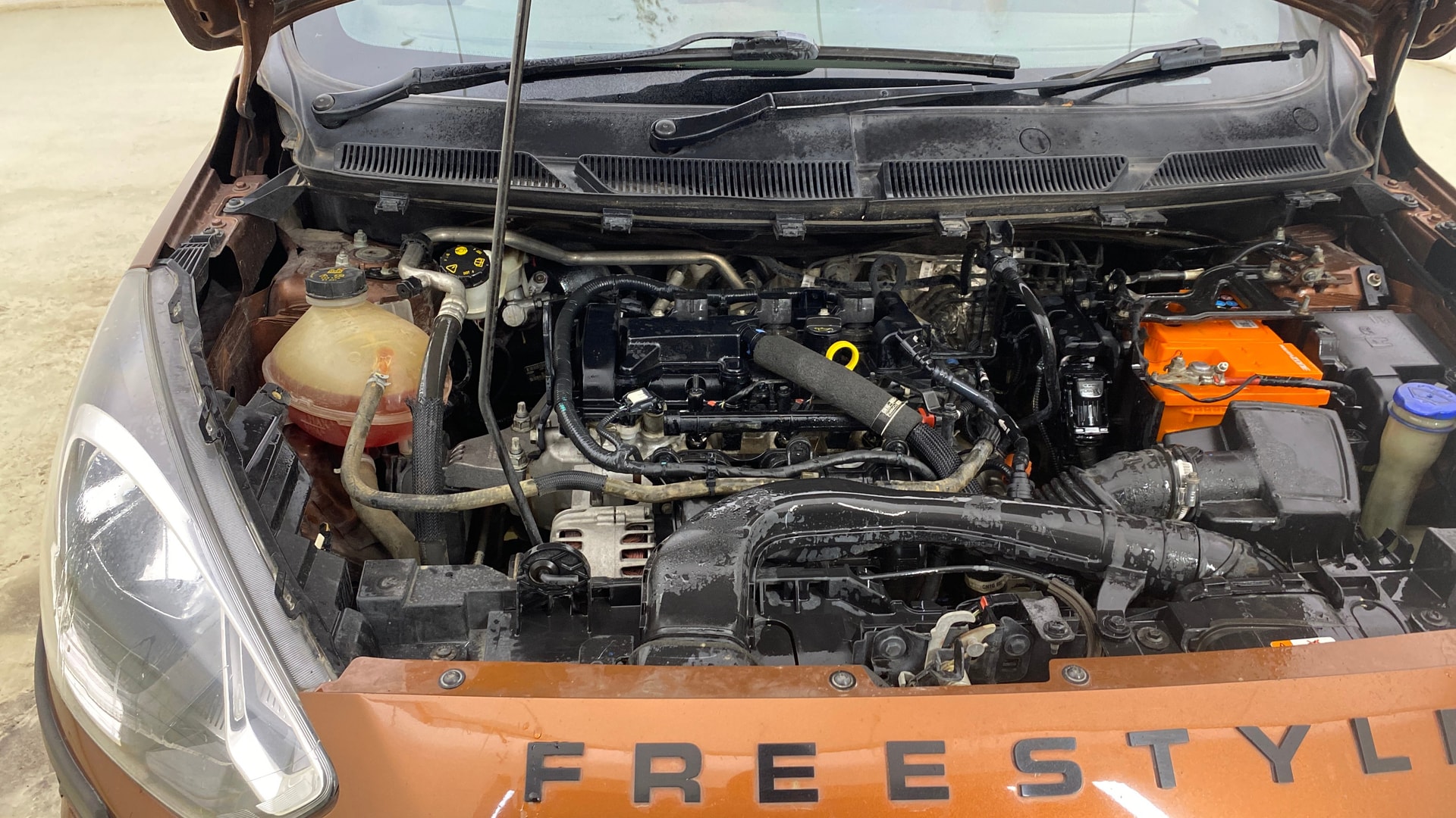 Used 2019 Ford Freestyle Used 2019 Ford Freestyle