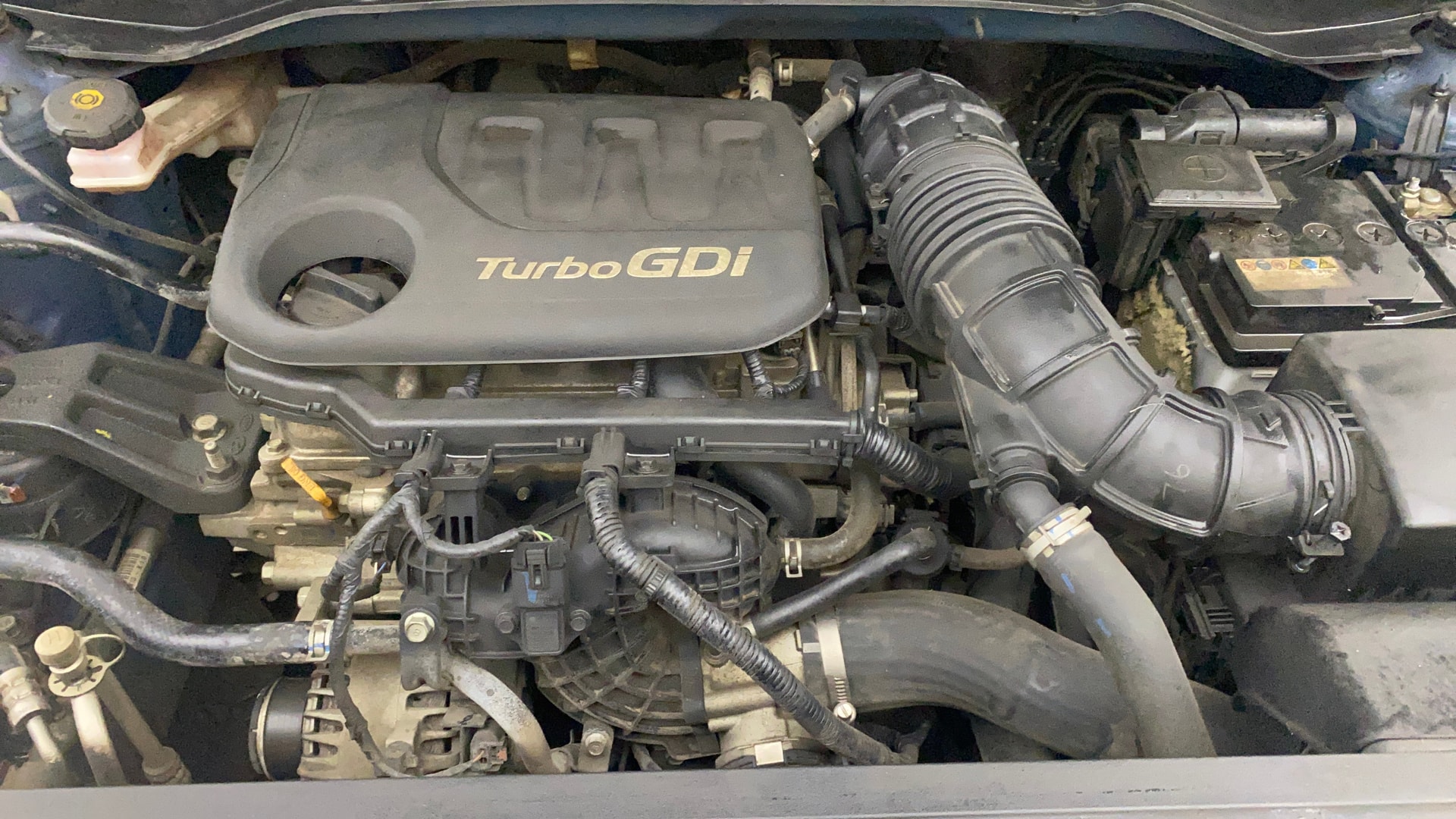 View 2021 Hyundai Venue SX 1.0 iMT Petrol Image 44 Used 2021 Hyundai Venue SX 1.0 iMT Petrol Image 44
