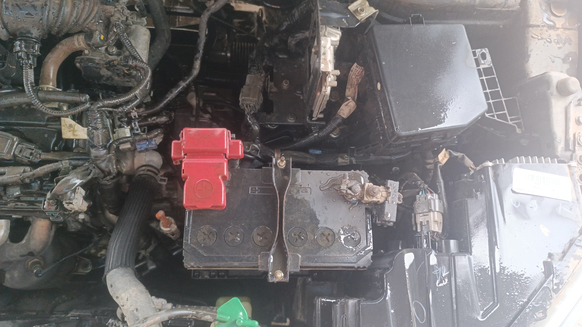 View 2021 Maruti Suzuki 1000 Base Variant Image 28 Used 2021 Maruti Suzuki 1000 Base Variant Image 28