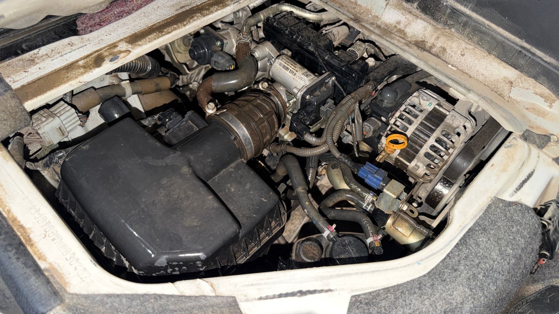 View 2023 Maruti Suzuki 1000 Base Variant Image 3 Used 2023 Maruti Suzuki 1000 Base Variant Image 3