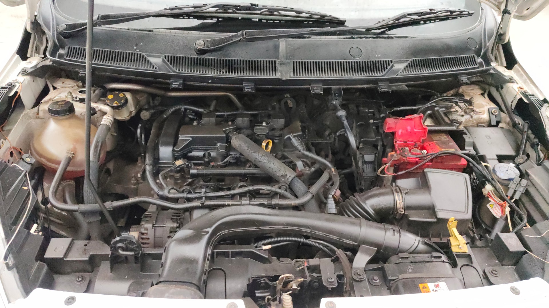 Used 2019 Ford Freestyle Used 2019 Ford Freestyle