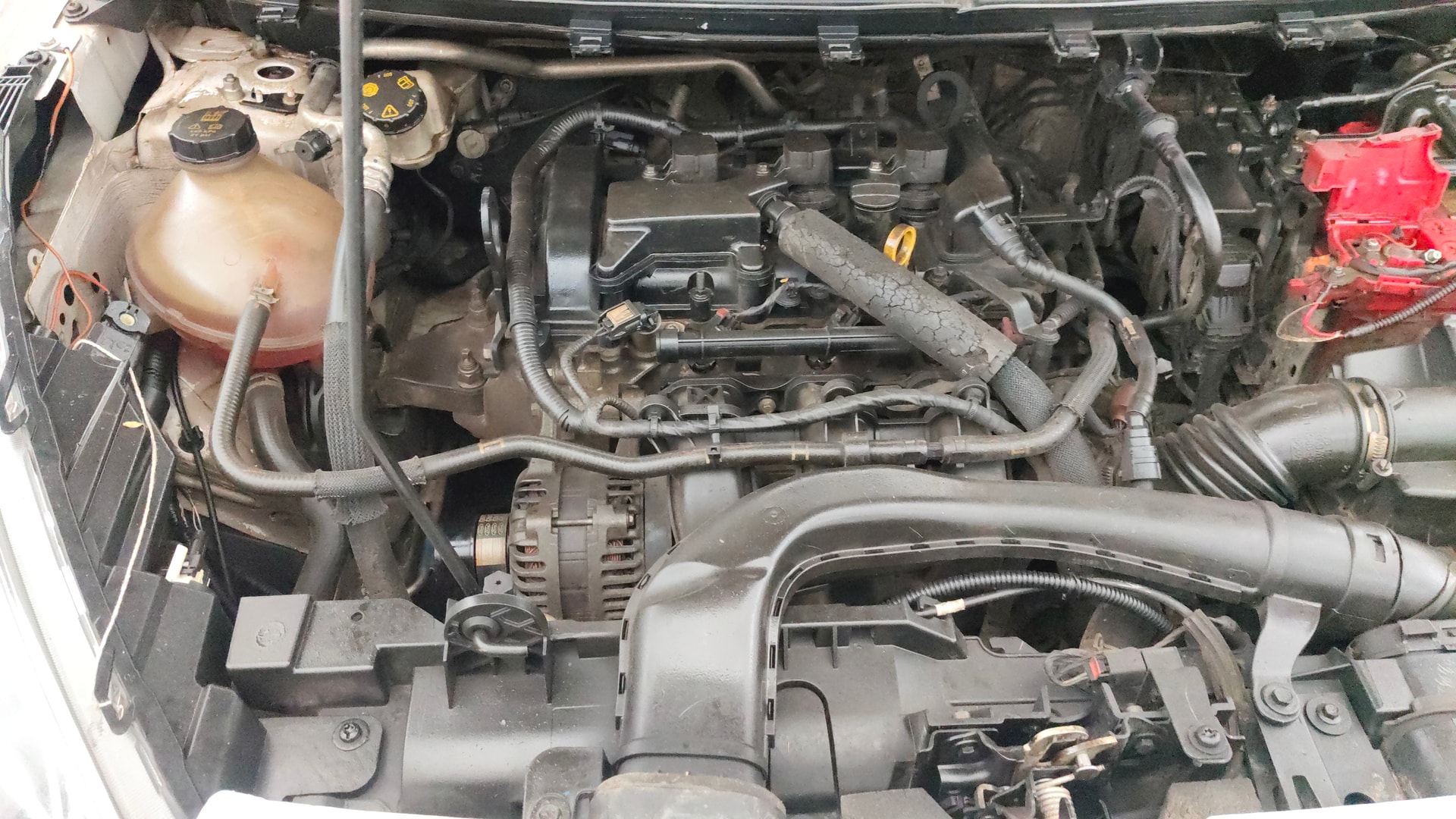 Used 2019 Ford Freestyle Used 2019 Ford Freestyle