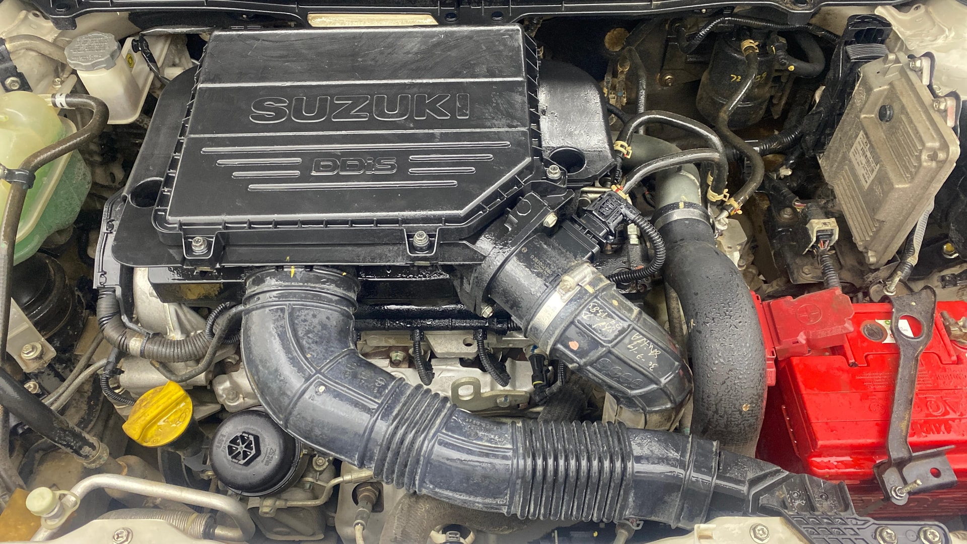 View 2019 Maruti Suzuki 1000 Base Variant Image 40 Used 2019 Maruti Suzuki 1000 Base Variant Image 40