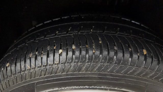View Ford EcoSport Image 19 Used Ford EcoSport Image 19