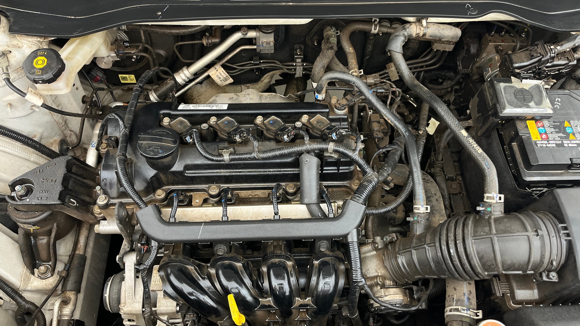 View 2024 Hyundai Venue S(O) Plus 1.2 Petrol MT Image 42 Used 2024 Hyundai Venue S(O) Plus 1.2 Petrol MT Image 42