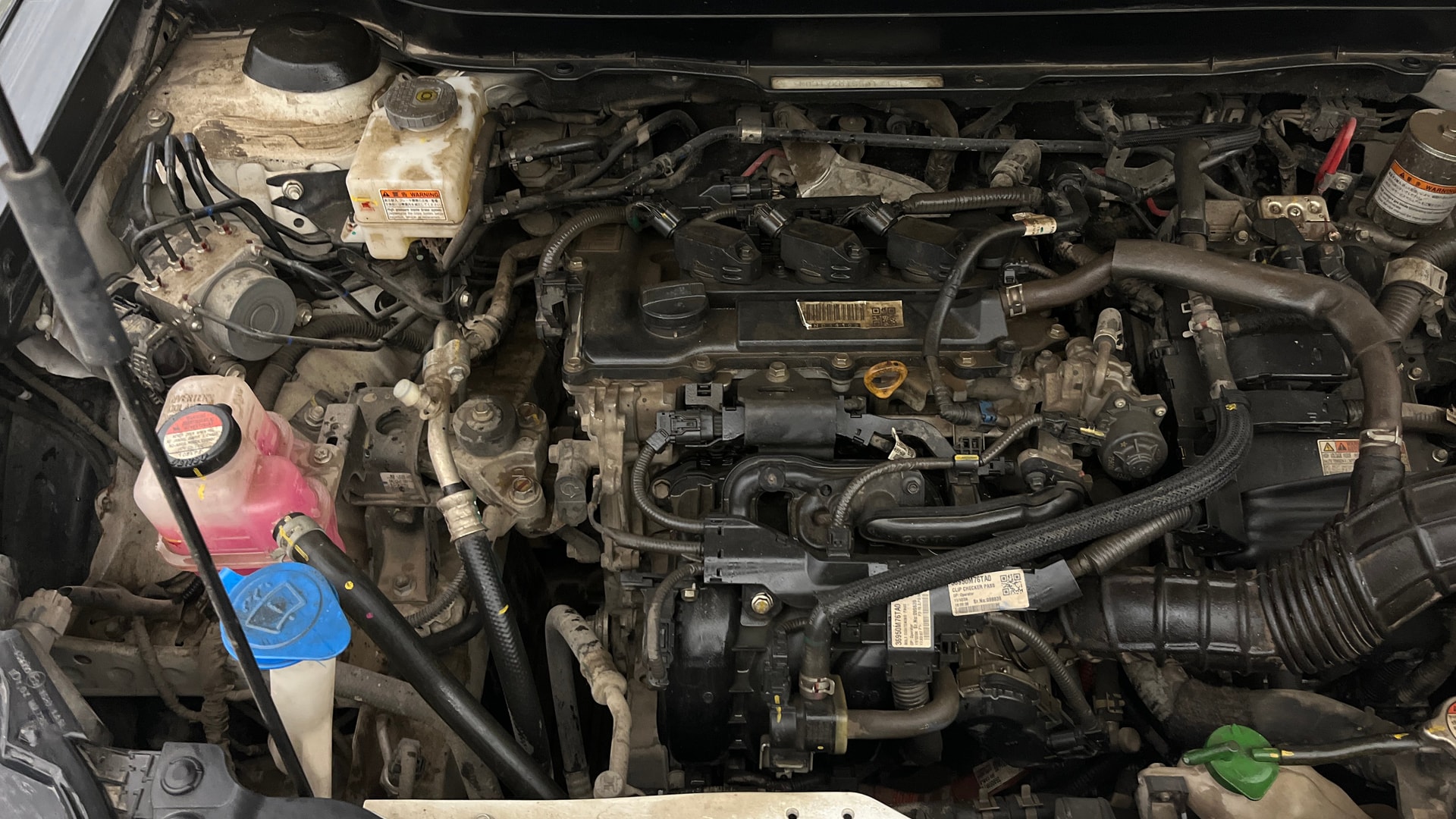 View 2025 Maruti Suzuki 1000 Base Variant Image 26 Used 2025 Maruti Suzuki 1000 Base Variant Image 26