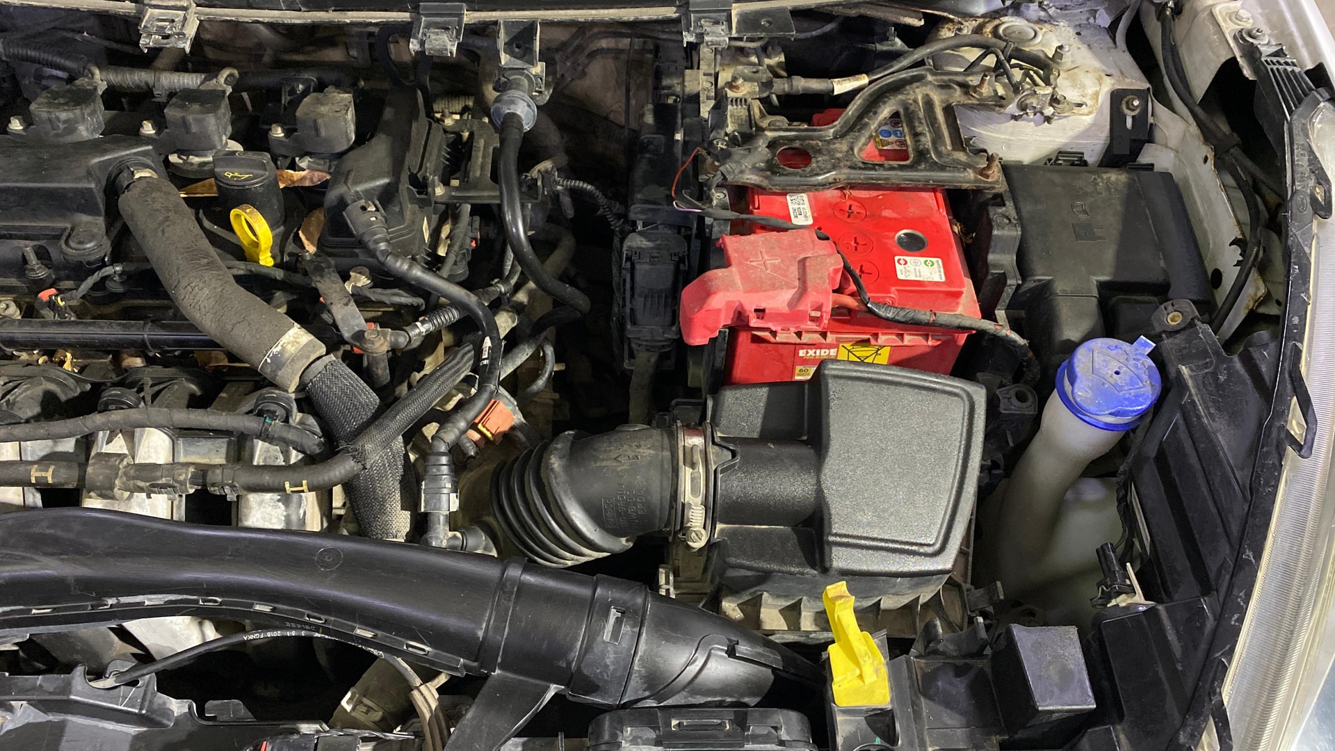 Used 2019 Ford Freestyle Used 2019 Ford Freestyle