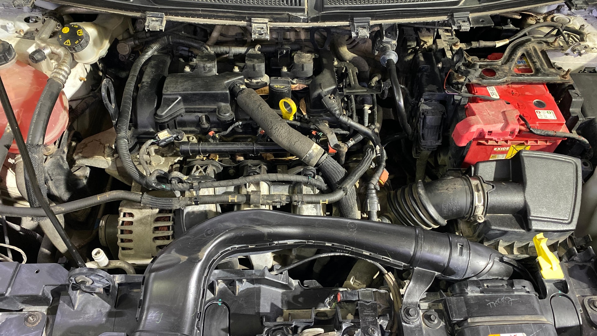 Used 2019 Ford Freestyle Used 2019 Ford Freestyle