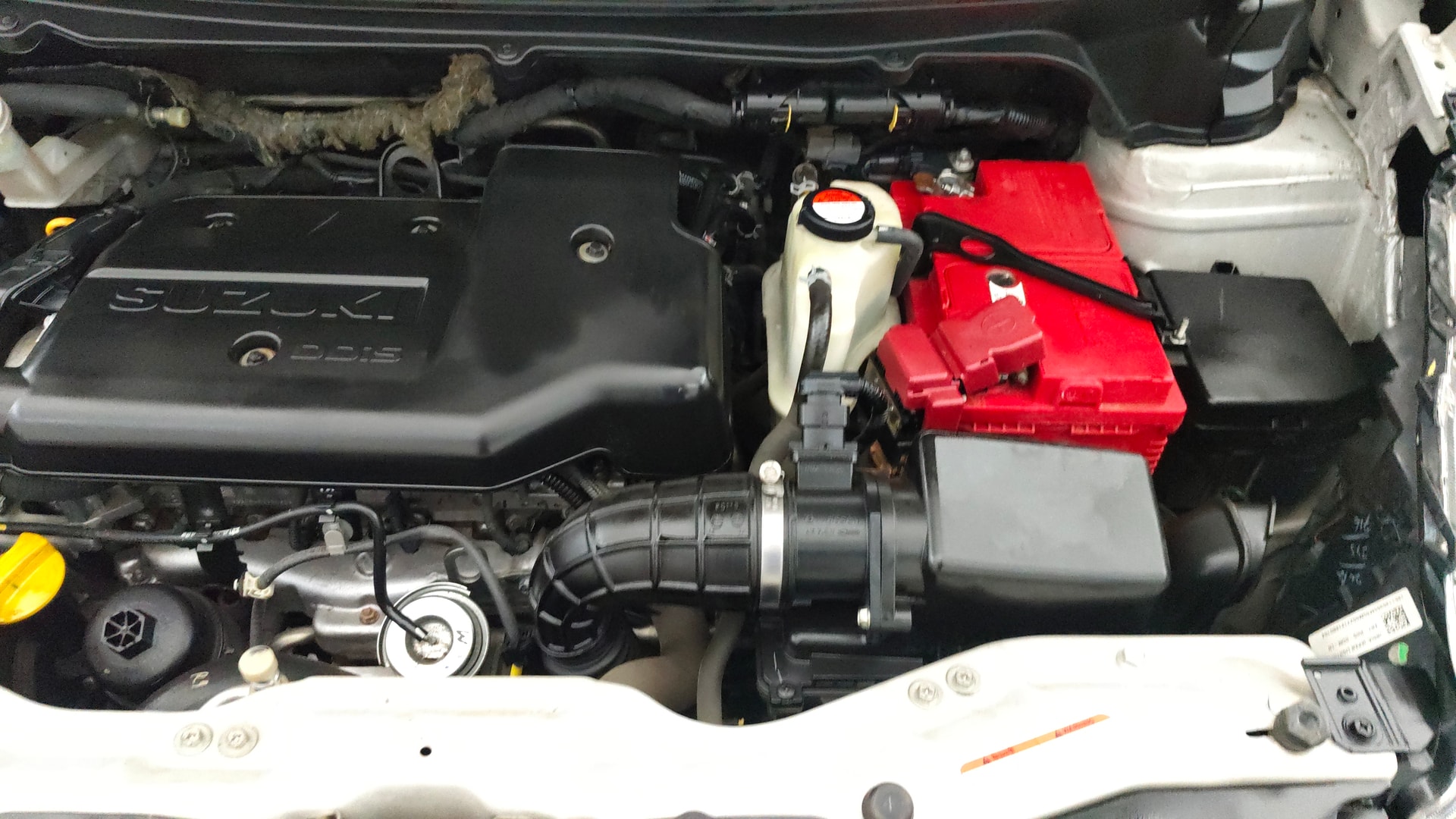 View 2017 Maruti Suzuki 1000 Base Variant Image 14 Used 2017 Maruti Suzuki 1000 Base Variant Image 14