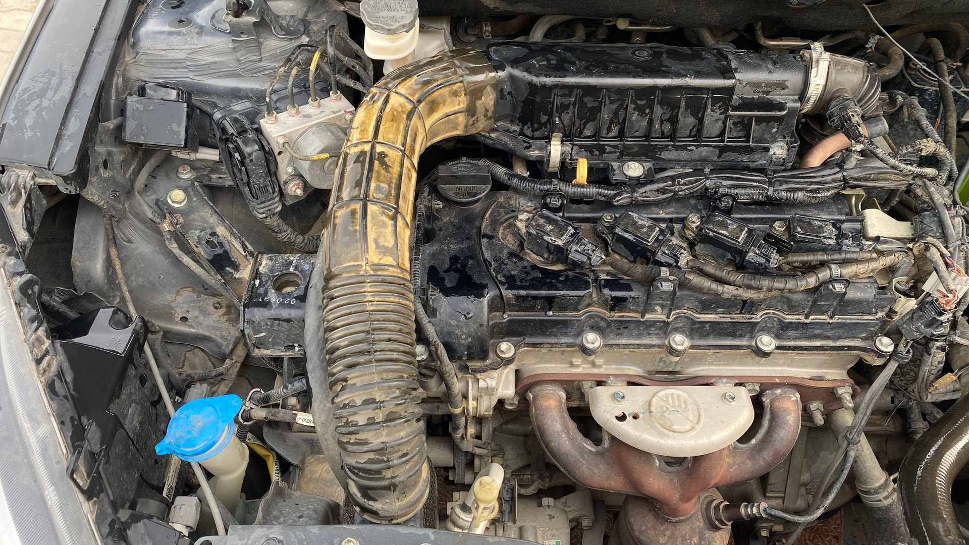 View 2019 Maruti Suzuki 1000 Base Variant Image 4 Used 2019 Maruti Suzuki 1000 Base Variant Image 4