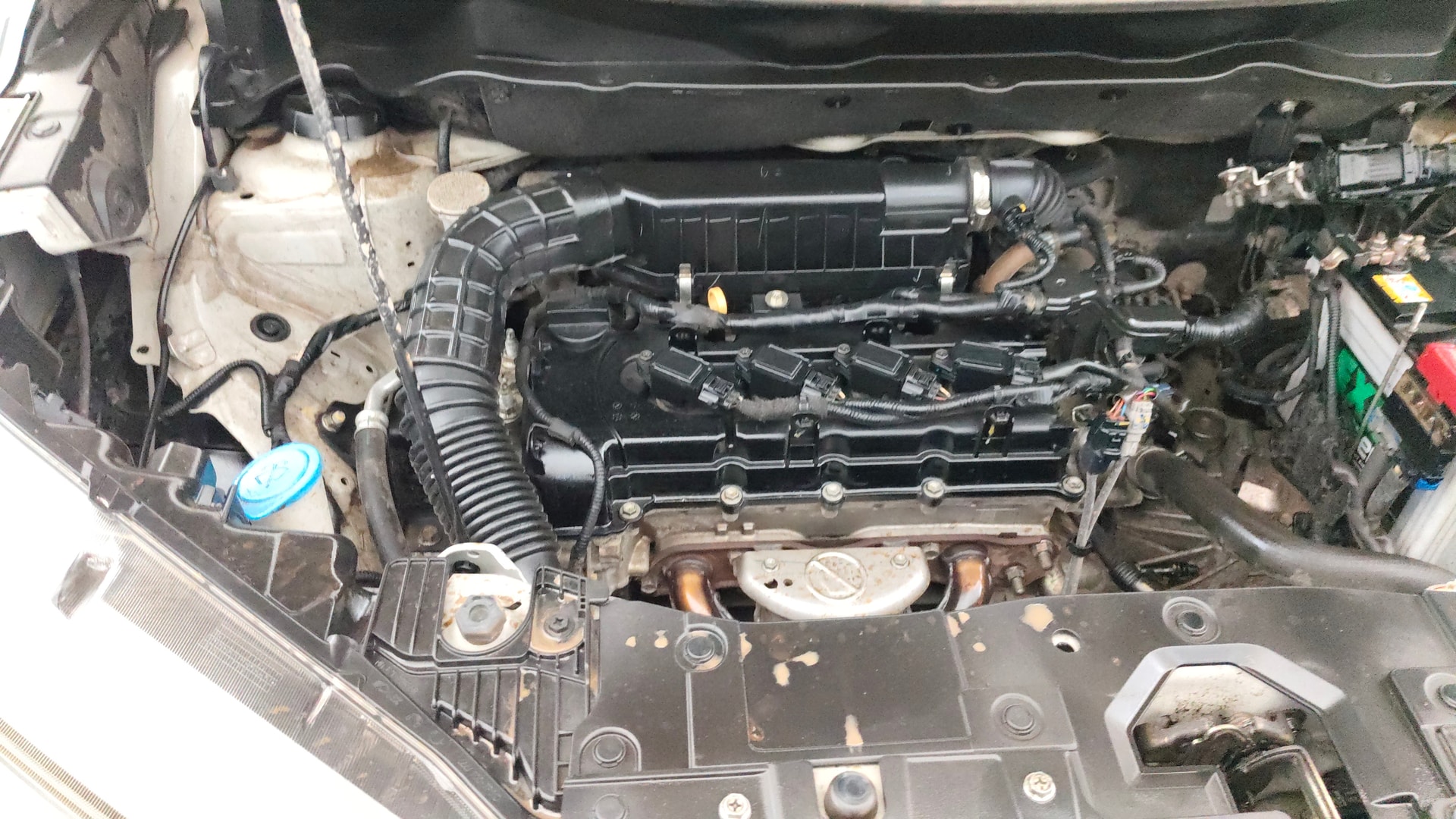 View 2020 Maruti Suzuki 1000 Base Variant Image 27 Used 2020 Maruti Suzuki 1000 Base Variant Image 27