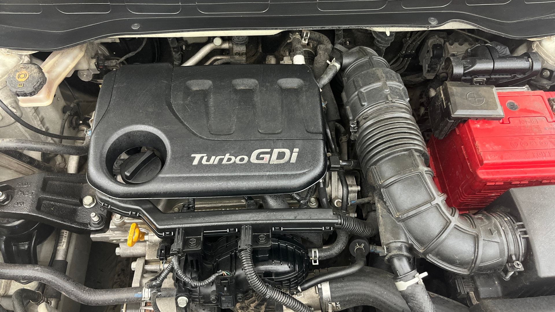 View 2021 Hyundai Venue SX 1.0 iMT Petrol Image 44 Used 2021 Hyundai Venue SX 1.0 iMT Petrol Image 44
