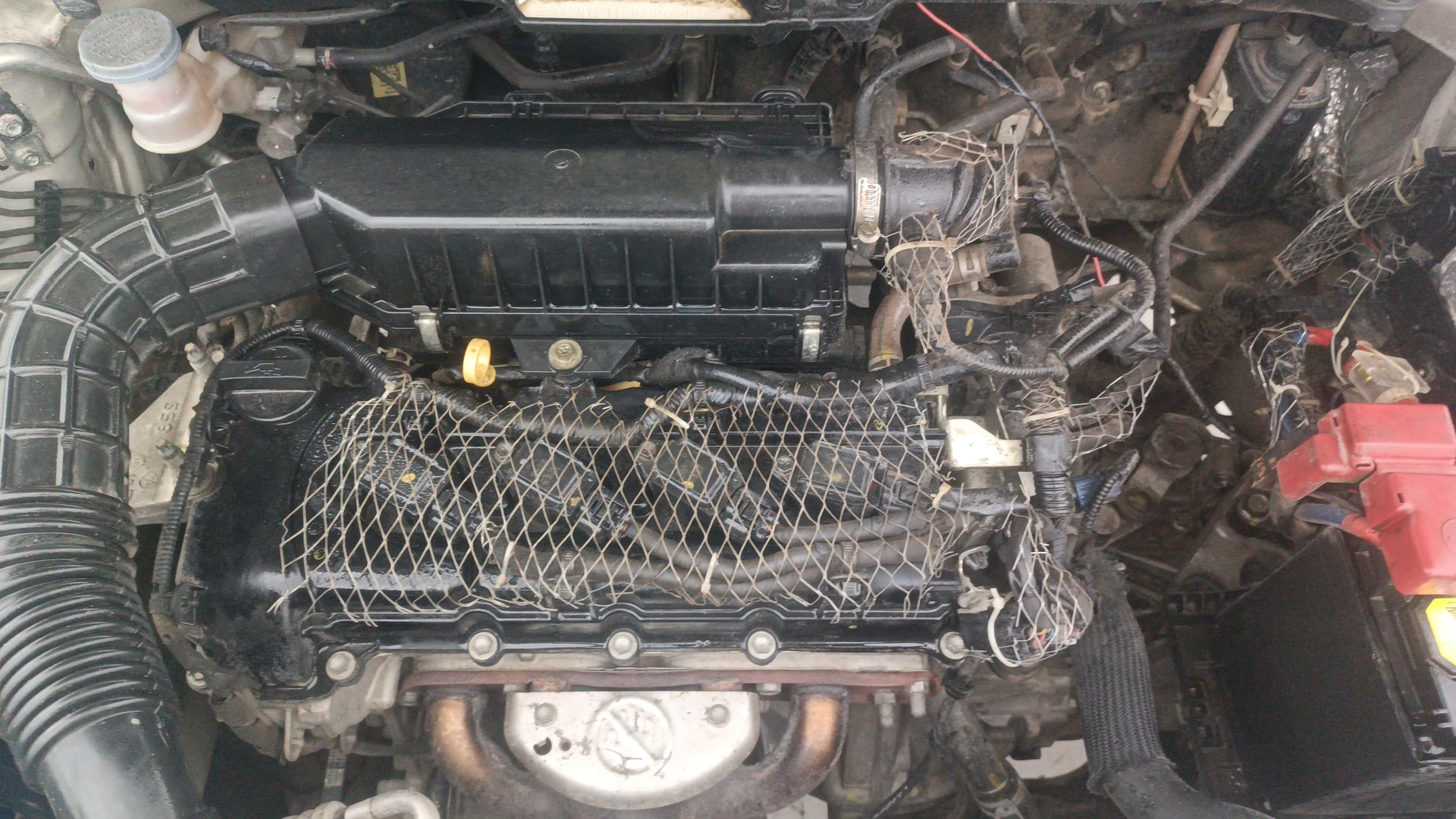 Used 2022 Maruti Suzuki 1000 Used 2022 Maruti Suzuki 1000