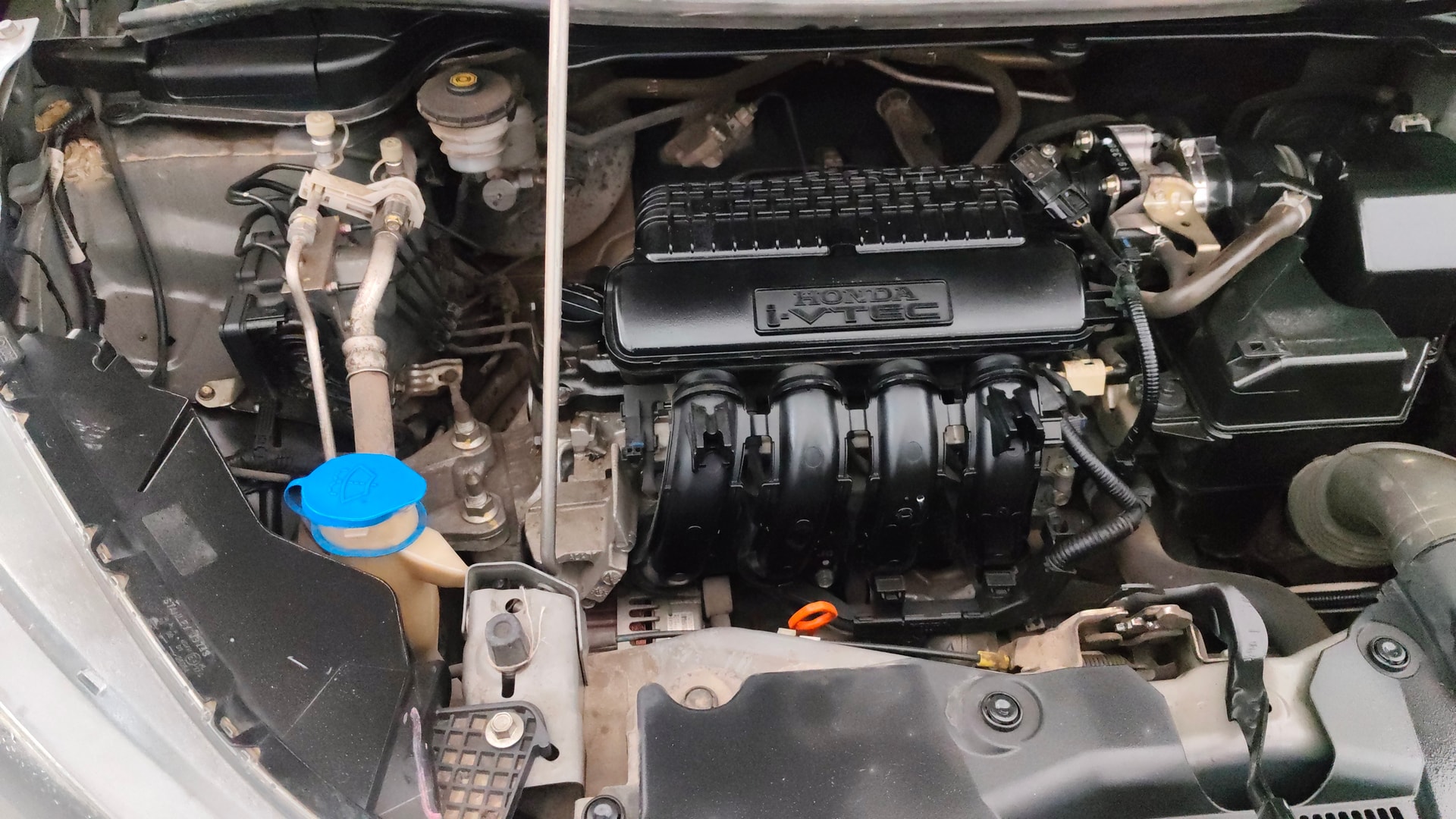 Used 2019 Honda WR-V Used 2019 Honda WR-V