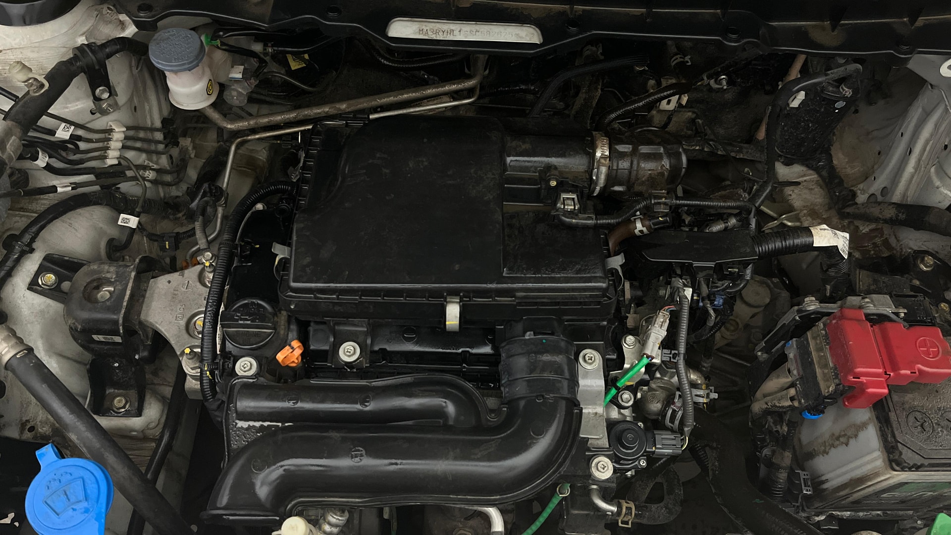 Used 2025 Maruti Suzuki 1000 Used 2025 Maruti Suzuki 1000