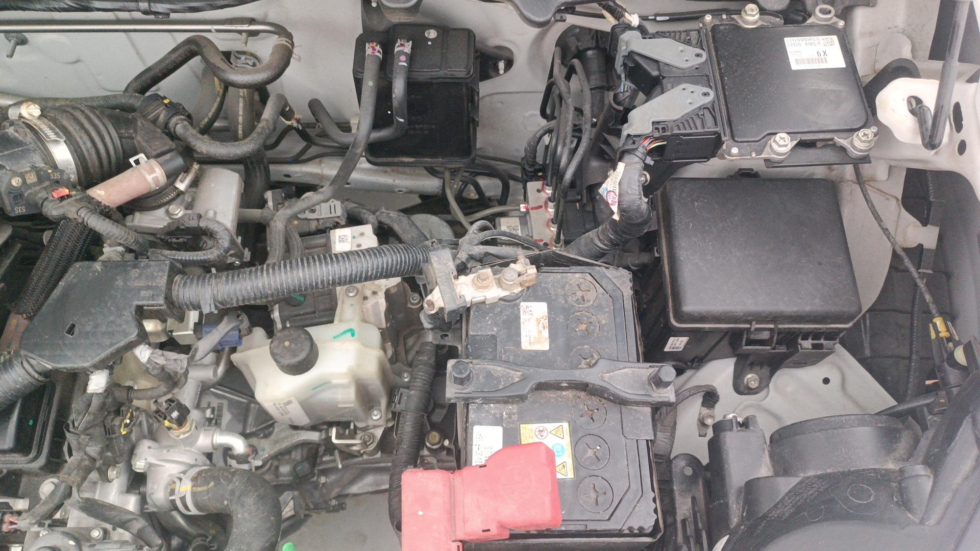 Used 2025 Maruti Suzuki 1000 Used 2025 Maruti Suzuki 1000