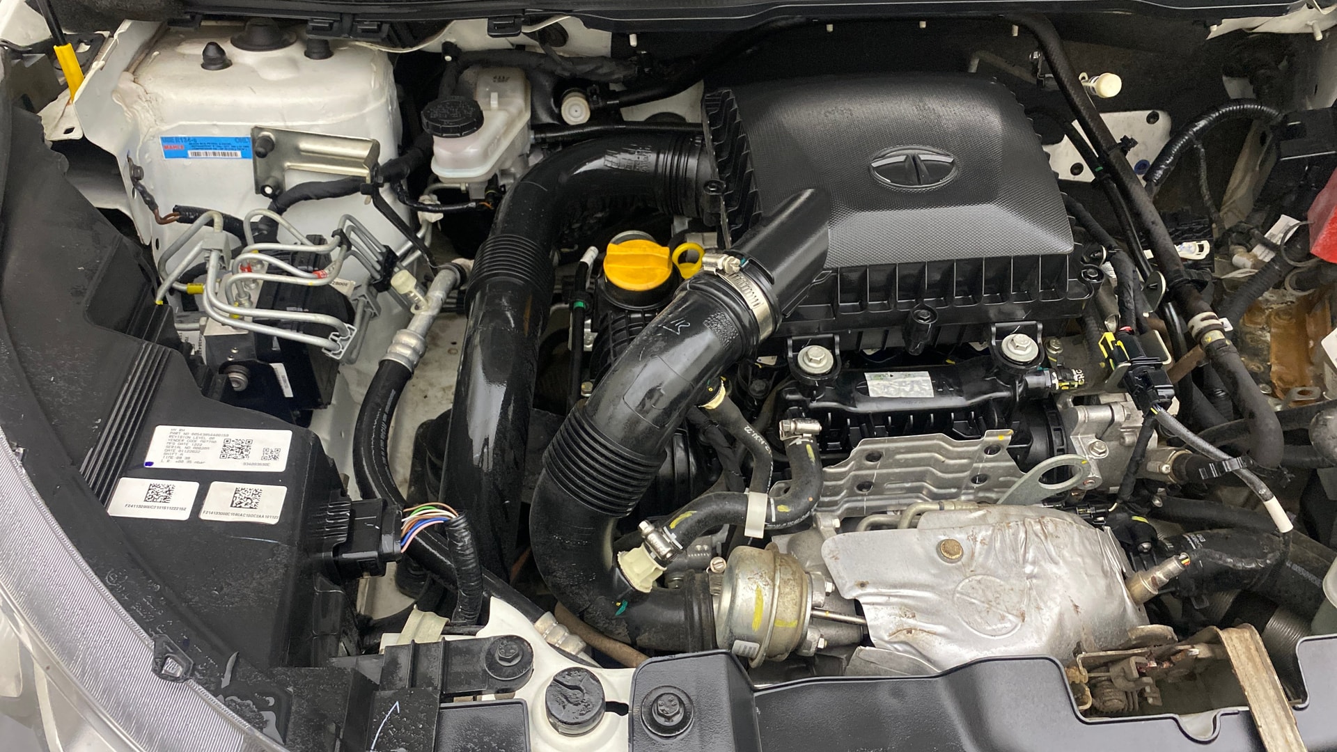 View 2024 Tata Nexon Revotron XZ Plus Lux Image 3 Used 2024 Tata Nexon Revotron XZ Plus Lux Image 3