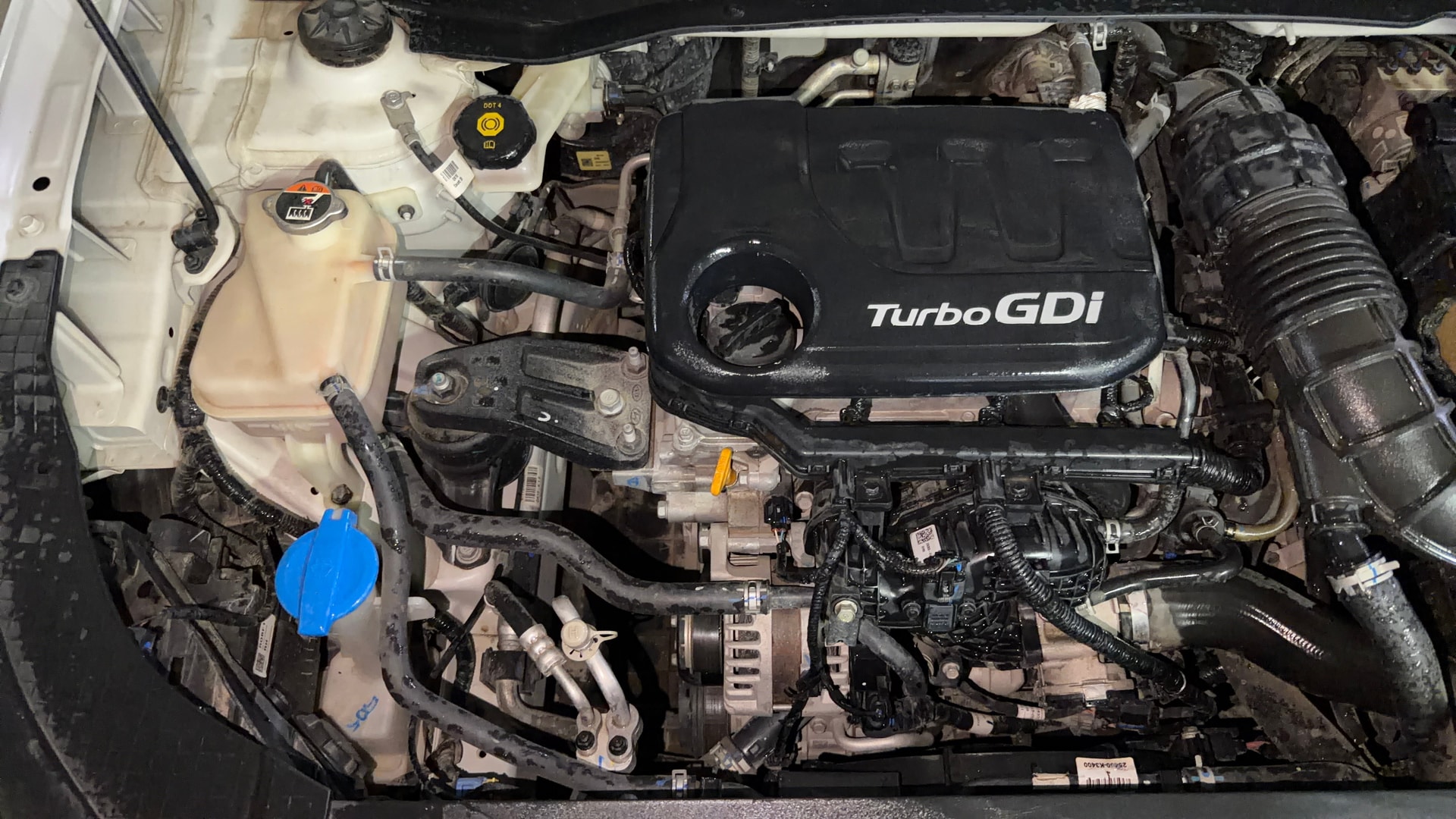 View 2023 Hyundai Venue SX (O) 1.0 Turbo Petrol DCT Image 4 Used 2023 Hyundai Venue SX (O) 1.0 Turbo Petrol DCT Image 4