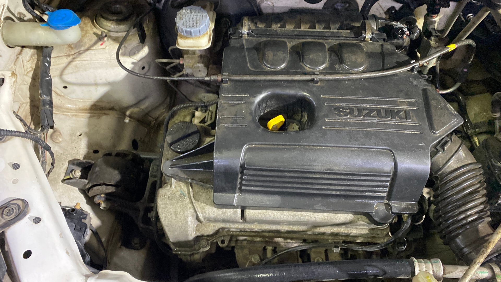 View 2017 Maruti Suzuki 1000 Base Variant Image 3 Used 2017 Maruti Suzuki 1000 Base Variant Image 3