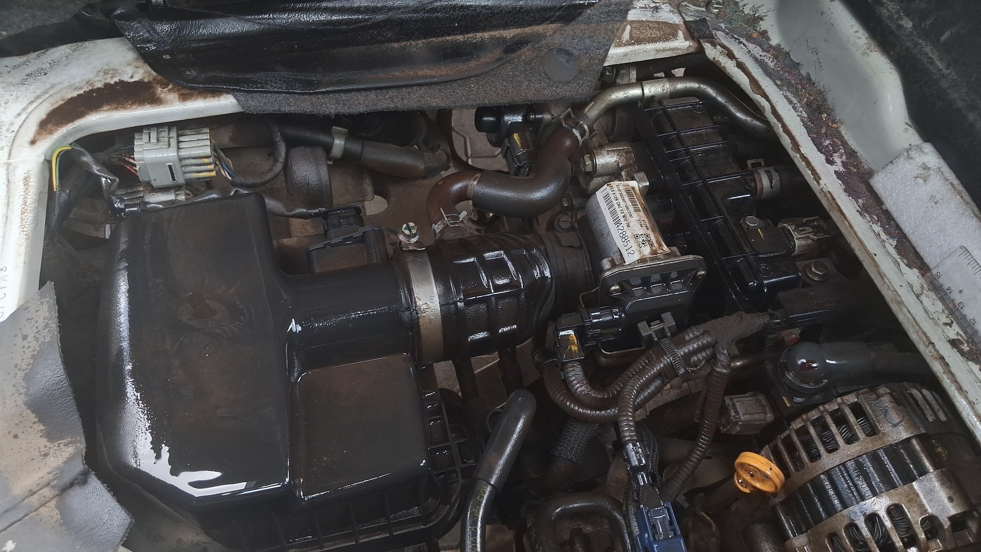 View 2024 Maruti Suzuki 1000 Base Variant Image 3 Used 2024 Maruti Suzuki 1000 Base Variant Image 3
