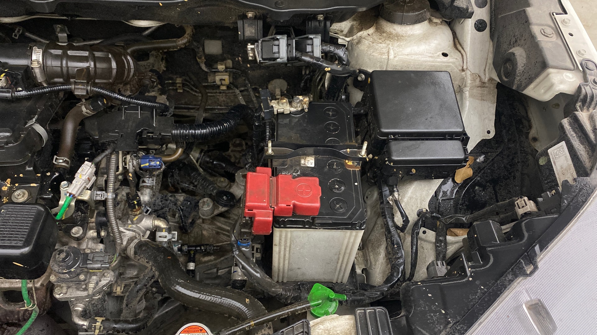 Used 2023 Maruti Suzuki 1000 Used 2023 Maruti Suzuki 1000