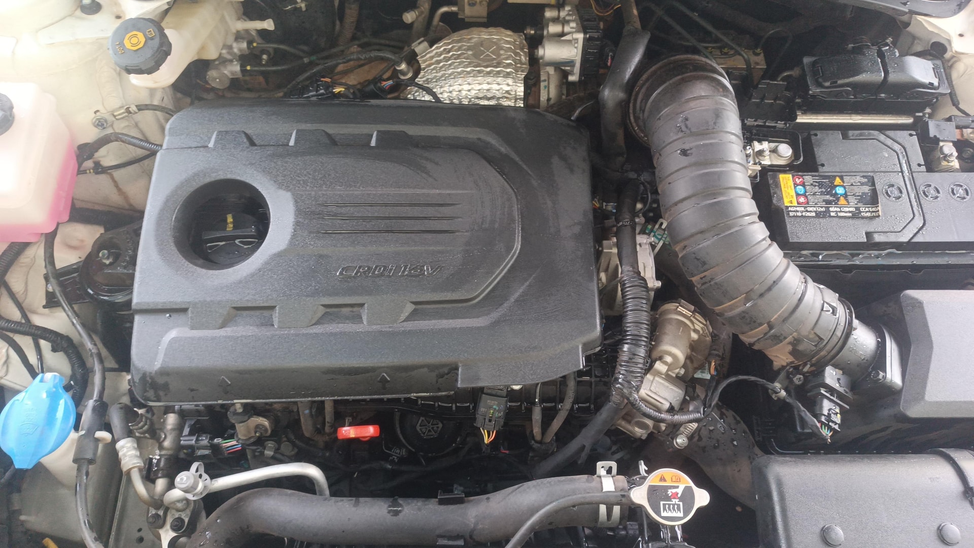 Used 2023 Kia Seltos Used 2023 Kia Seltos