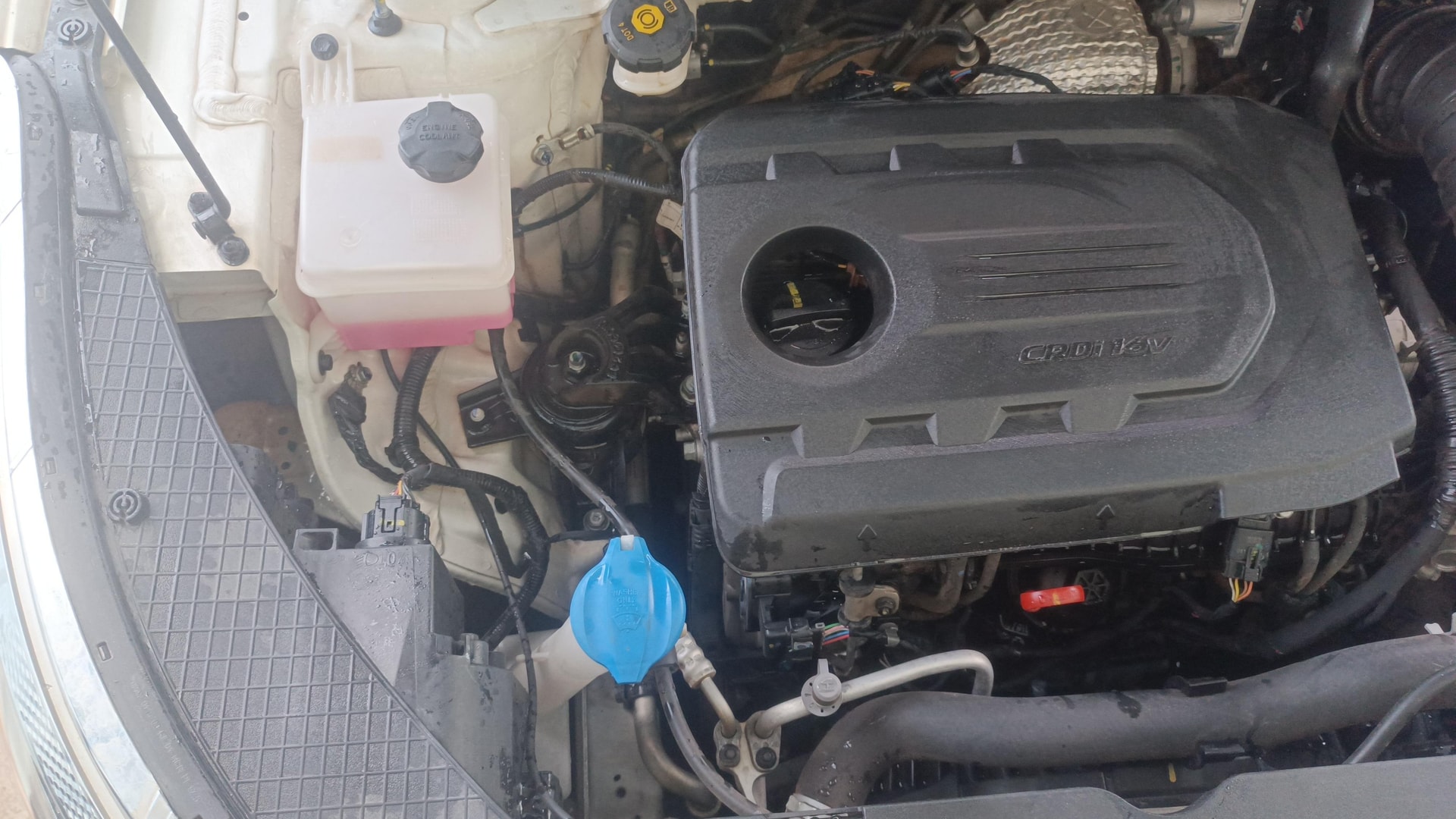 Used 2023 Kia Seltos Used 2023 Kia Seltos