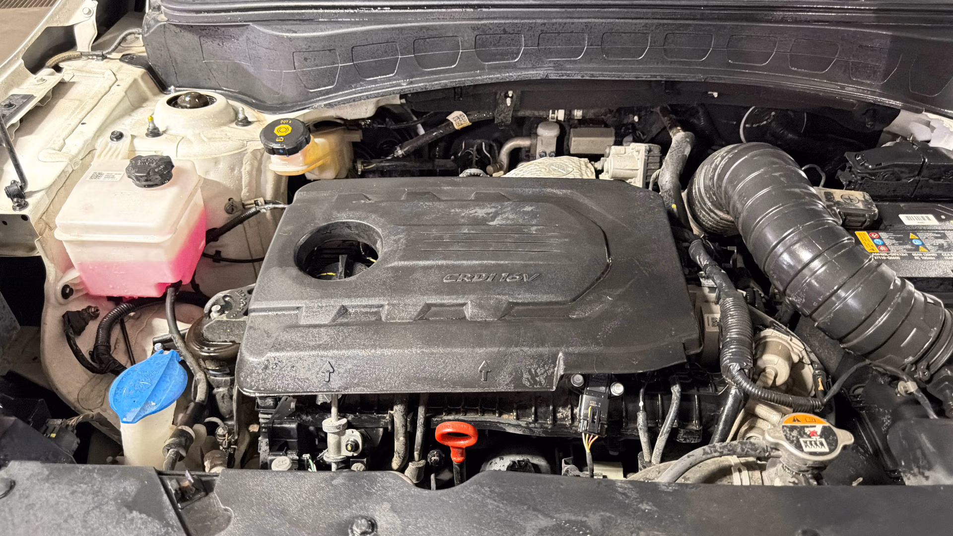 Used 2024 Kia Seltos Used 2024 Kia Seltos