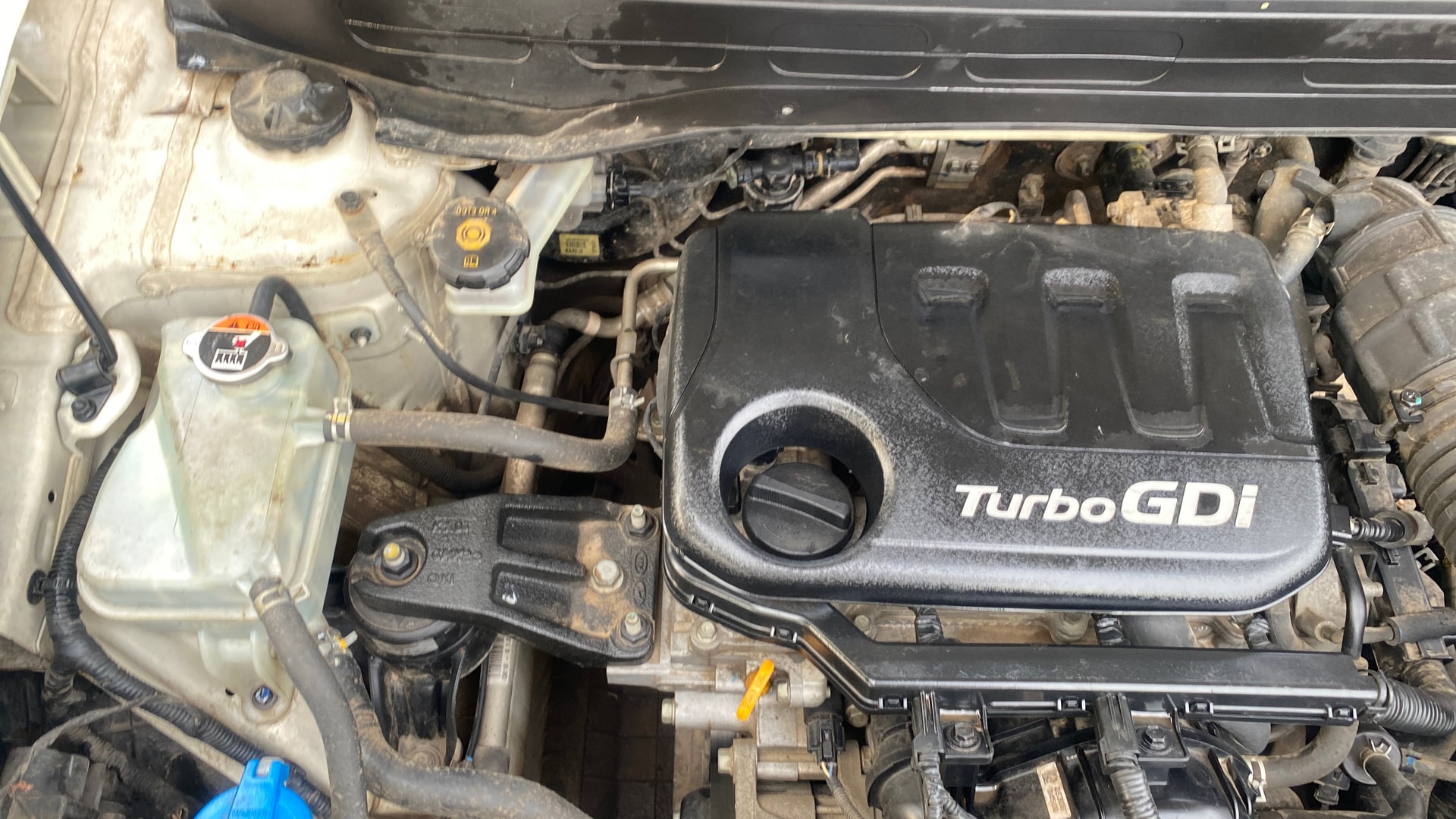 View 2019 Hyundai Venue SX 1.0 Petrol Image 4 Used 2019 Hyundai Venue SX 1.0 Petrol Image 4