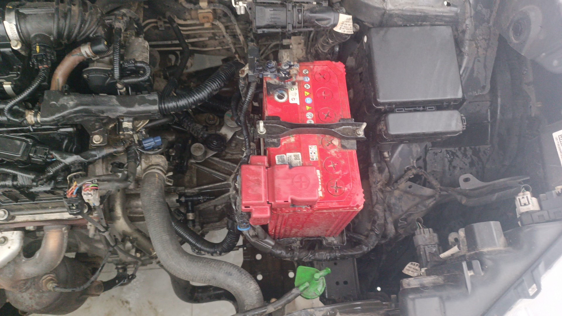 View 2020 Maruti Suzuki 1000 Base Variant Image 31 Used 2020 Maruti Suzuki 1000 Base Variant Image 31