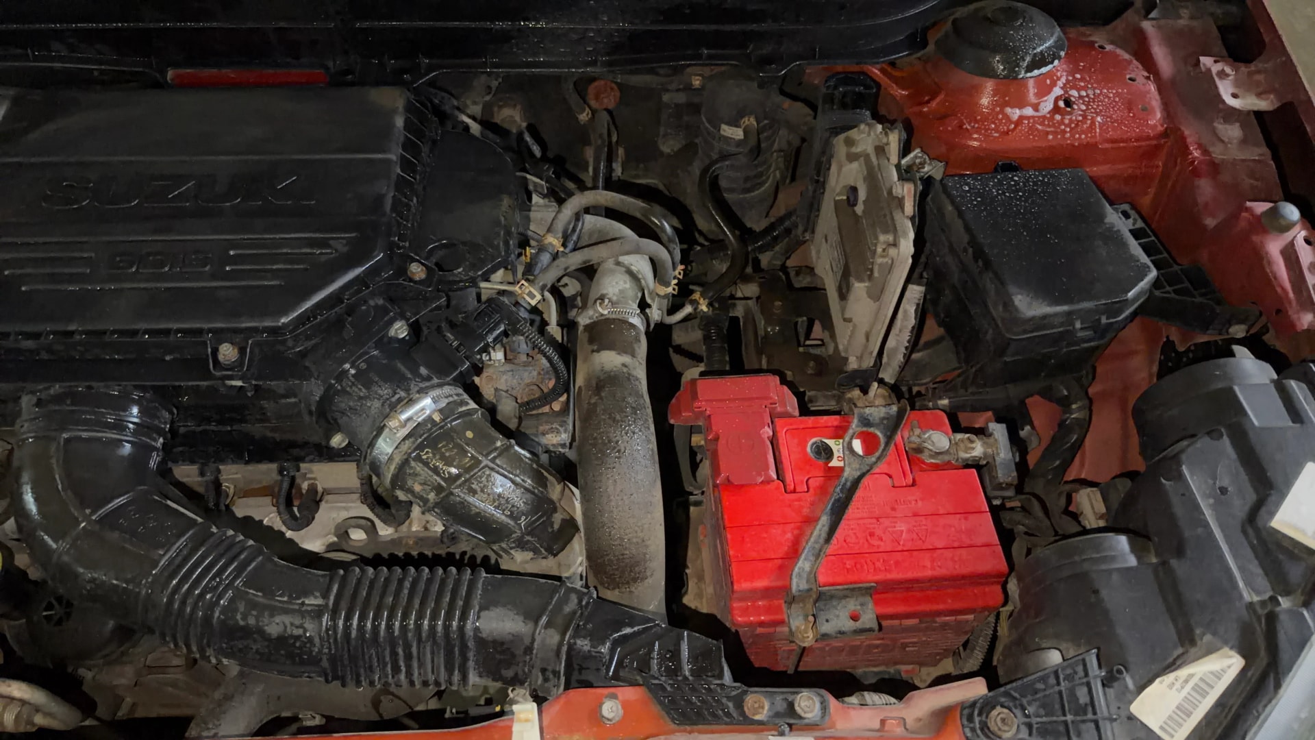 Used 2019 Maruti Suzuki 1000 Used 2019 Maruti Suzuki 1000