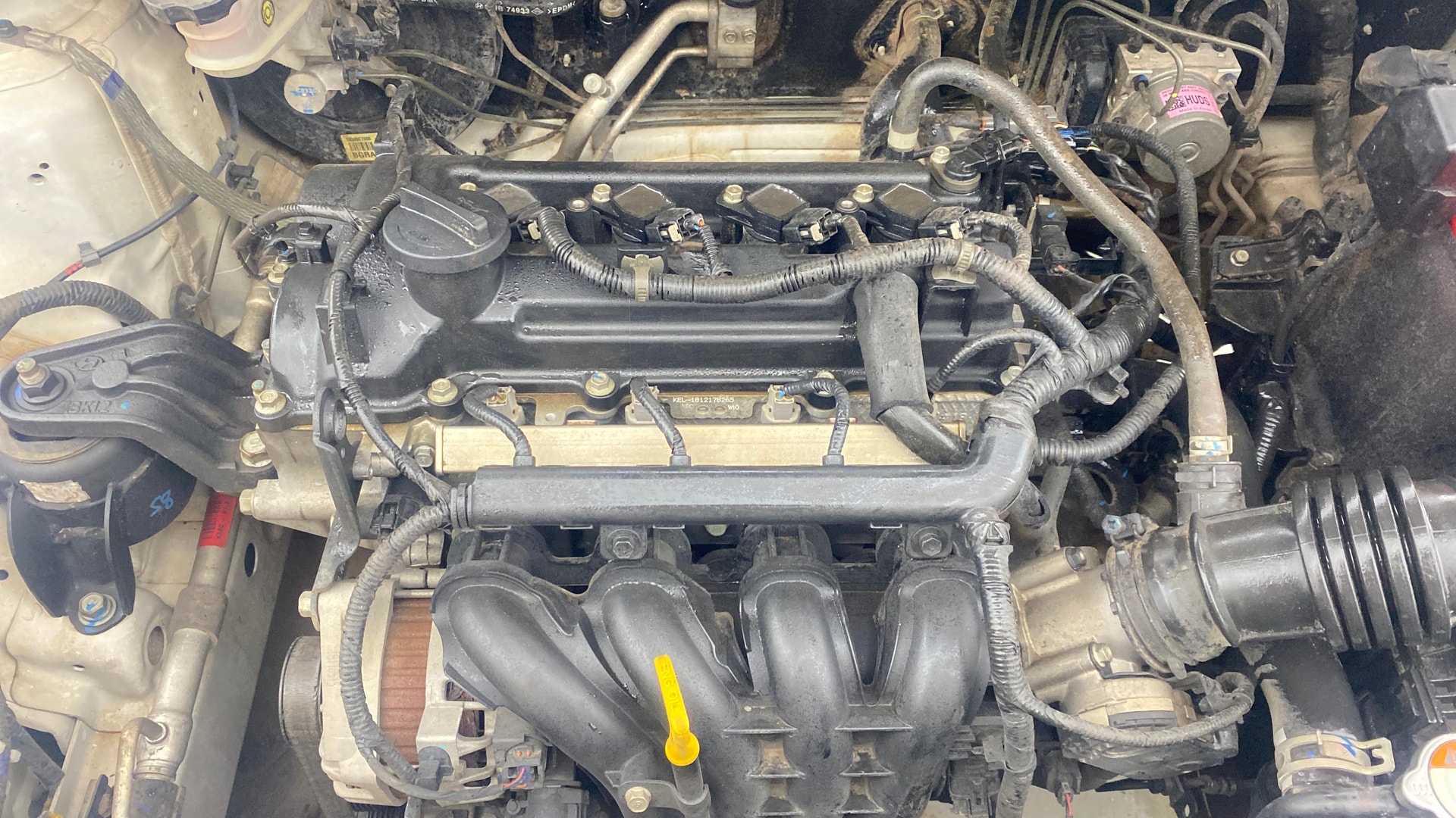 View 2019 Hyundai i20 Active 1.2 SX Image 44 Used 2019 Hyundai i20 Active 1.2 SX Image 44
