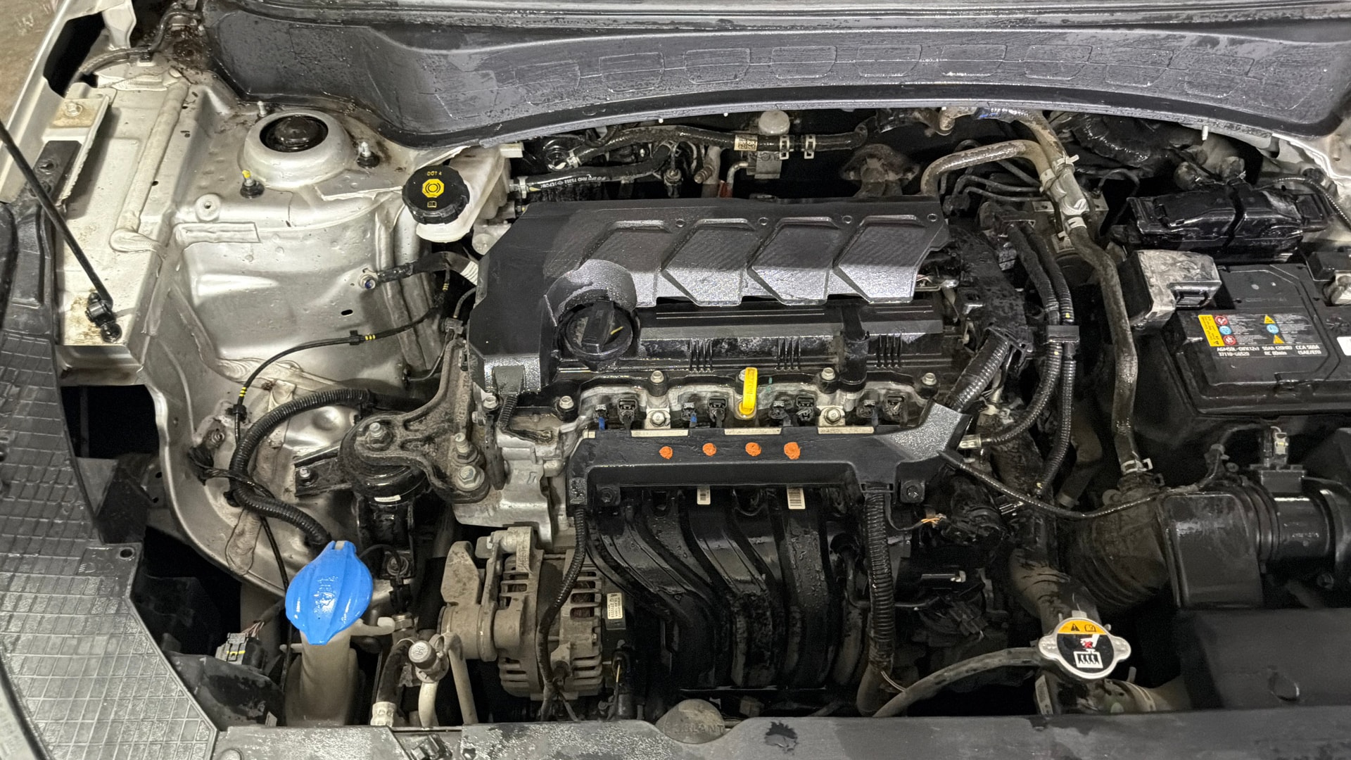 Used 2024 Kia Seltos Used 2024 Kia Seltos