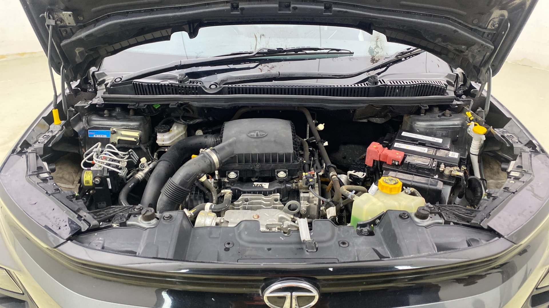 View 2023 Tata Nexon Revotron XE Image 43 Used 2023 Tata Nexon Revotron XE Image 43
