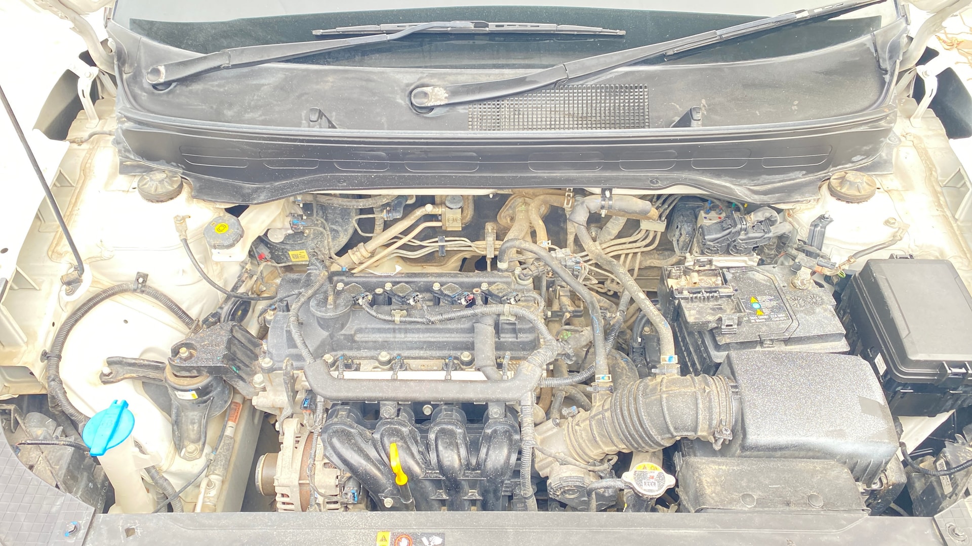 View 2023 Hyundai Venue SX 1.2 Petrol MT Image 43 Used 2023 Hyundai Venue SX 1.2 Petrol MT Image 43