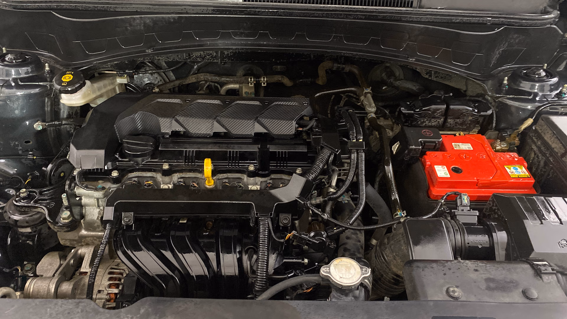 Used 2019 Kia Seltos Used 2019 Kia Seltos