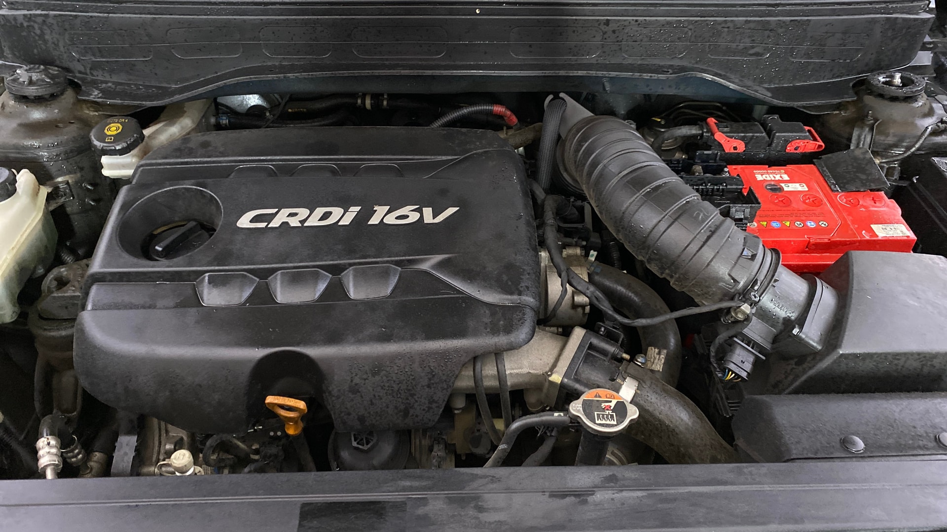 View 2019 Hyundai Venue SX 1.4 Diesel BS IV Image 44 Used 2019 Hyundai Venue SX 1.4 Diesel BS IV Image 44