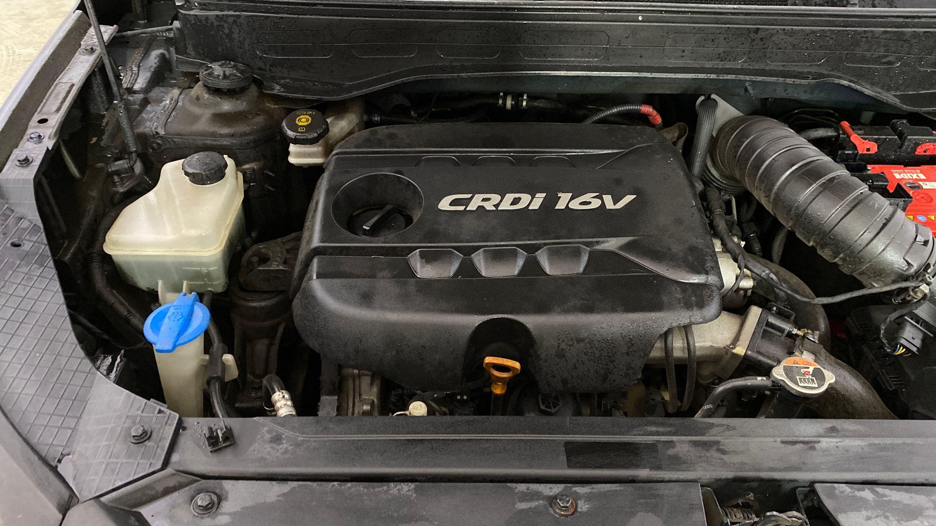 View 2019 Hyundai Venue SX 1.4 Diesel BS IV Image 25 Used 2019 Hyundai Venue SX 1.4 Diesel BS IV Image 25