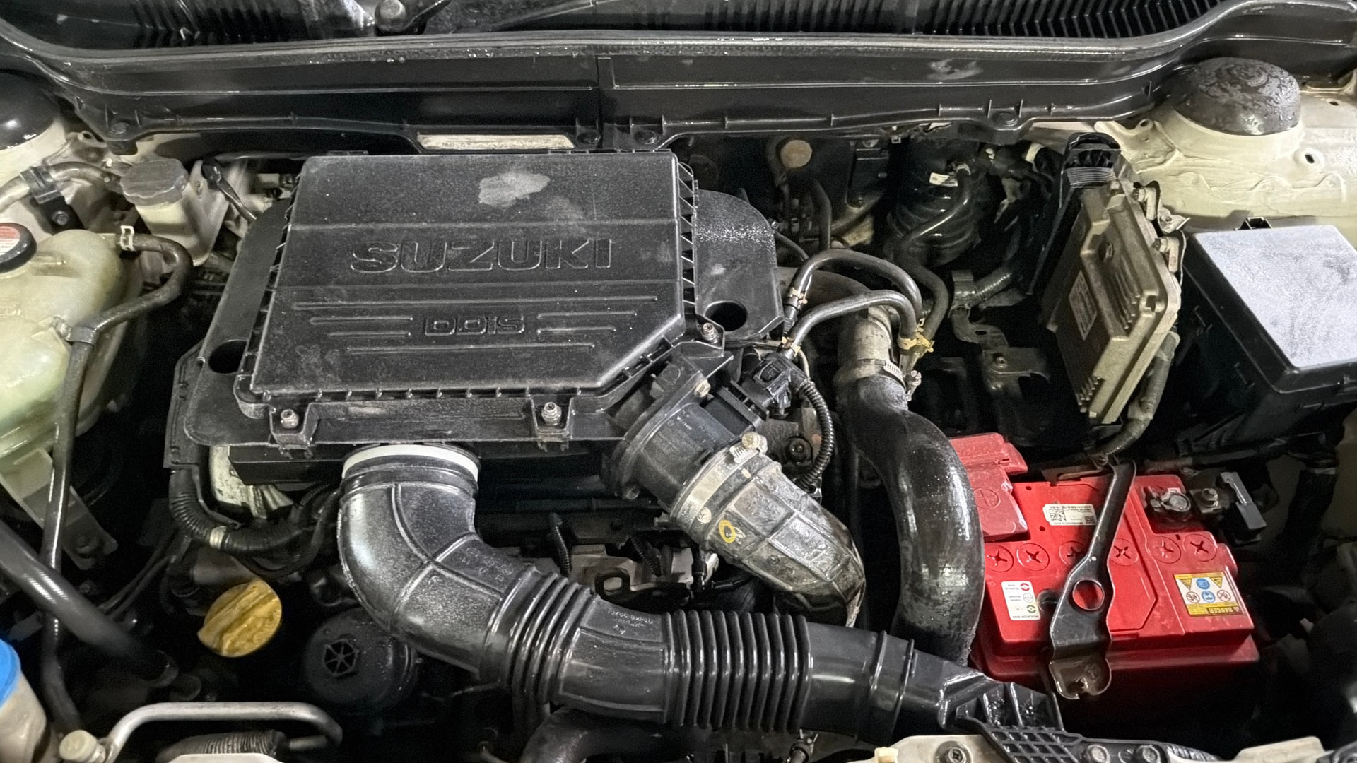 View 2019 Maruti Suzuki 1000 Base Variant Image 40 Used 2019 Maruti Suzuki 1000 Base Variant Image 40