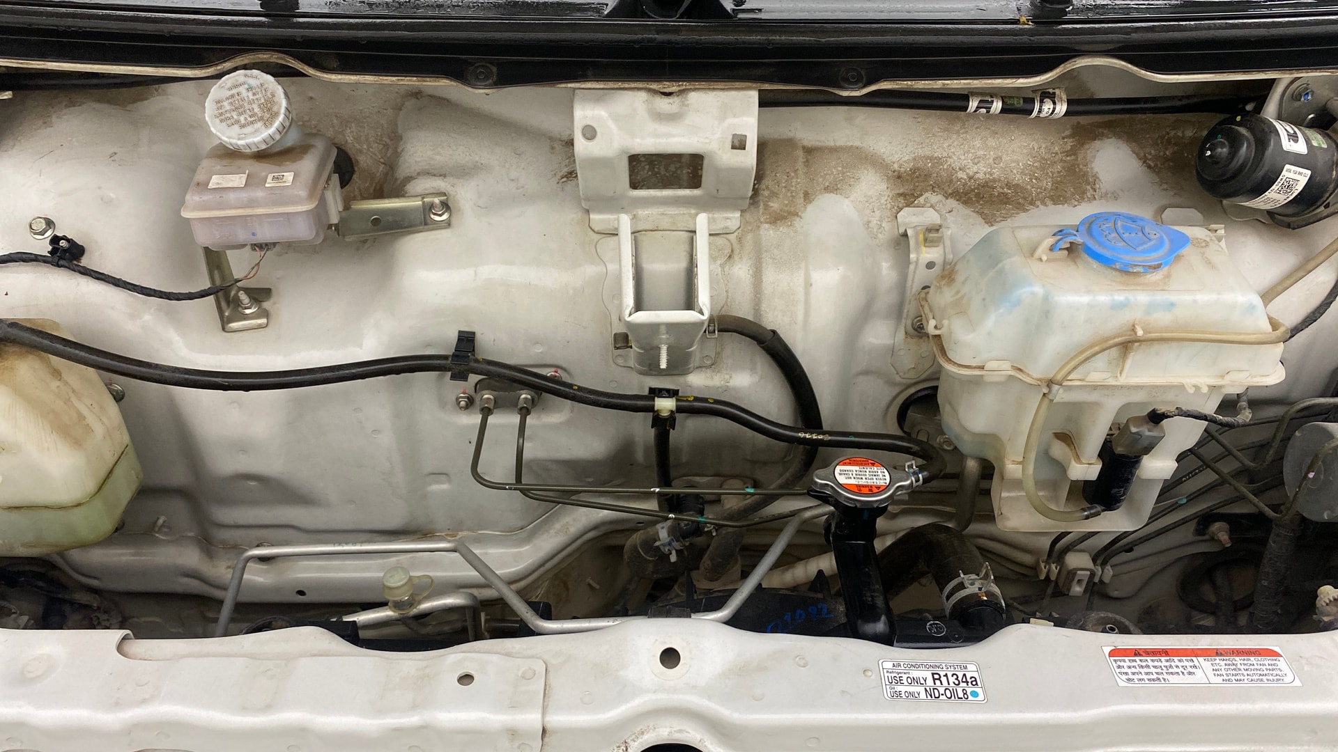 View 2023 Maruti Suzuki 1000 Base Variant Image 40 Used 2023 Maruti Suzuki 1000 Base Variant Image 40
