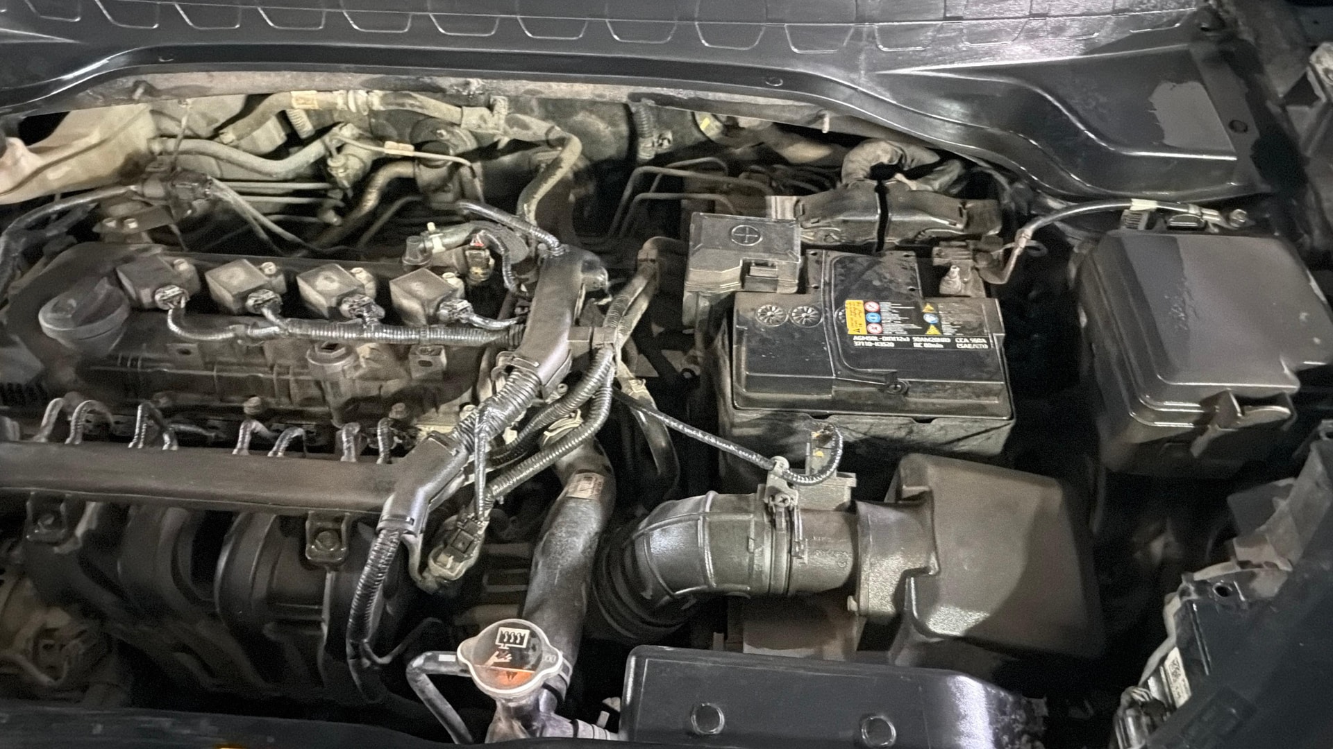 Used 2024 Kia Sonet Used 2024 Kia Sonet