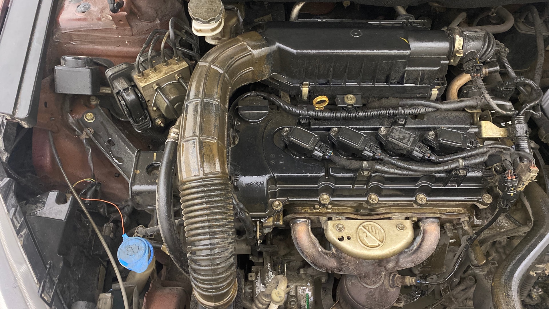View 2019 Maruti Suzuki 1000 Base Variant Image 25 Used 2019 Maruti Suzuki 1000 Base Variant Image 25